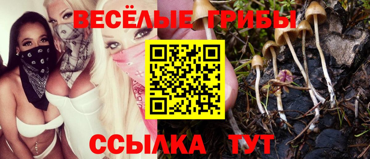 Галлюциногенные грибы мухоморы Железноводск