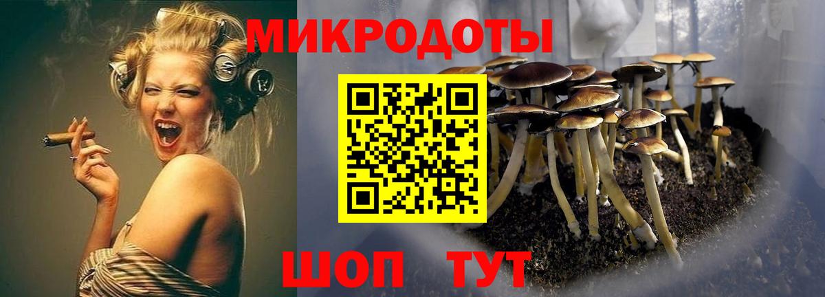 Псилоцибиновые грибы Magic Shrooms  Вход с VPN  Железноводск 